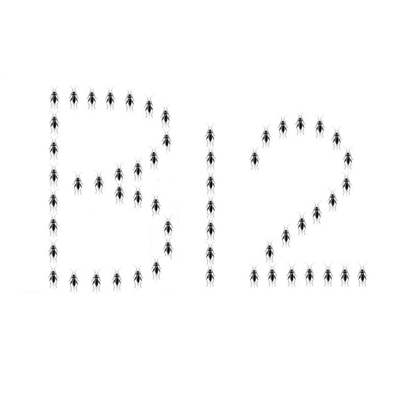 Vitamin B12 and the vegan conundrum