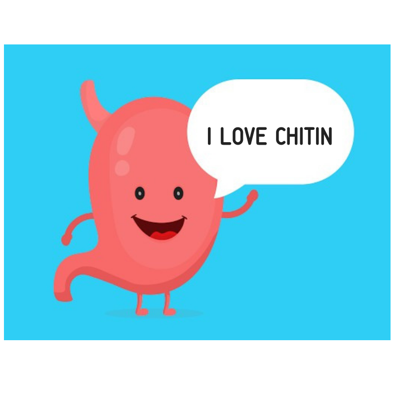 What are the health benefits of chitin?