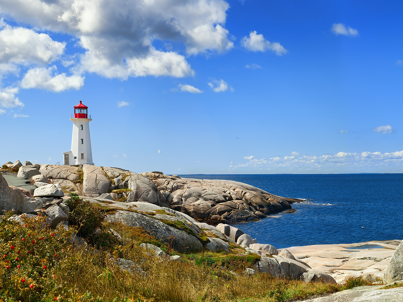 Landish Marine Collagen: A Smart Use of Resources