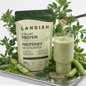 5 Plant Protein Powder