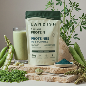 5 Plant Protein Powder
