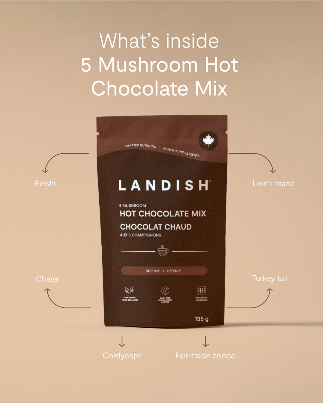 5 Mushroom Hot Chocolate Mix