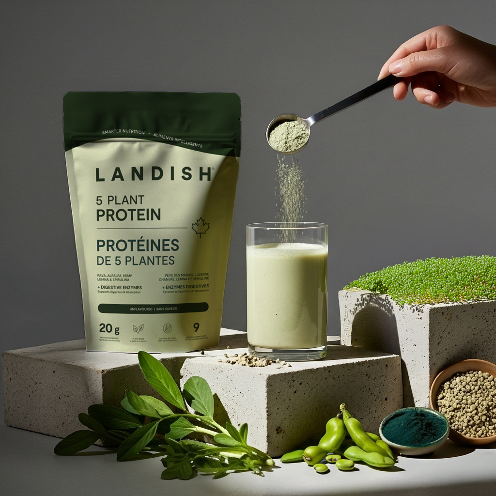5 Plant Protein Powder