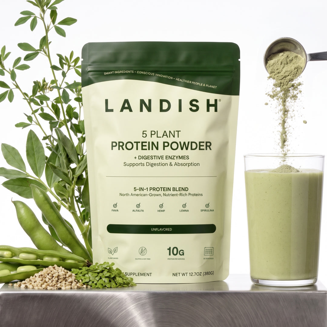 5 Plant Protein Powder