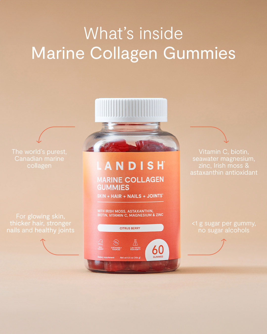 Marine Collagen Gummies