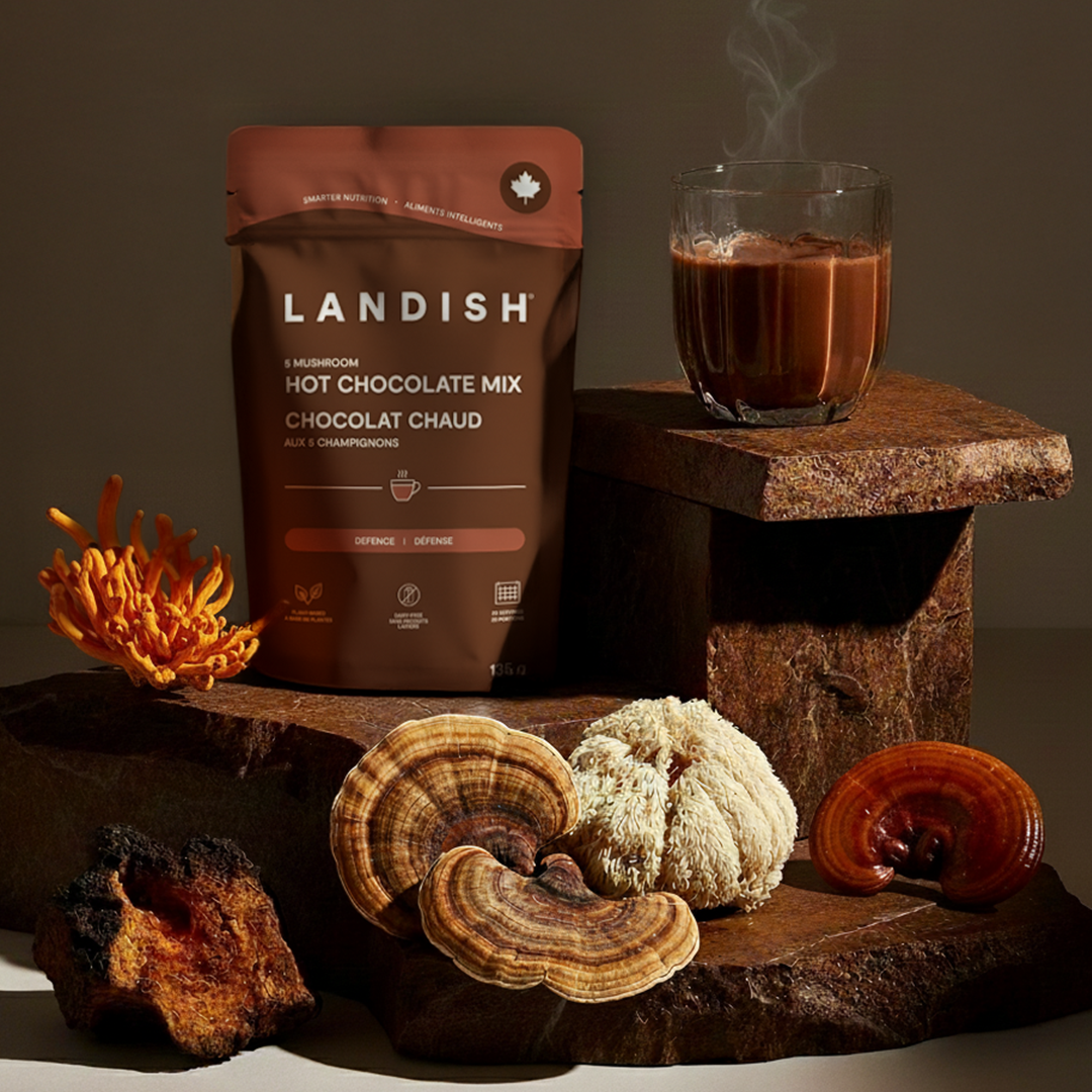 5 Mushroom Hot Chocolate Mix