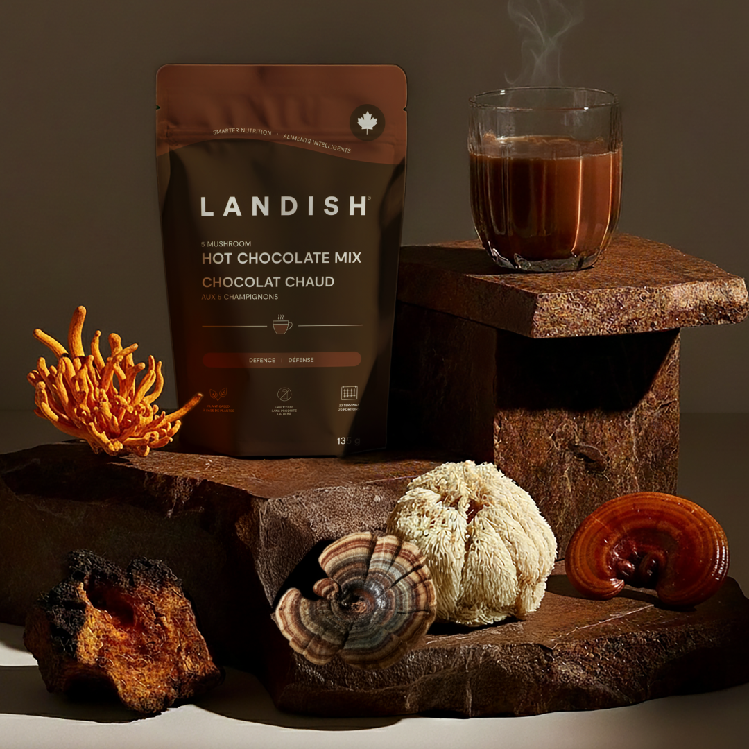 5 Mushroom Hot Chocolate Mix