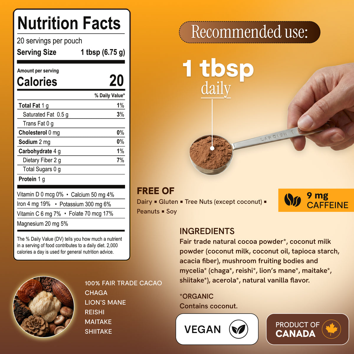 5 Mushroom Chocolate Blend