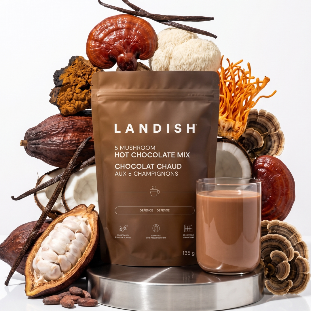 5 Mushroom Hot Chocolate Mix